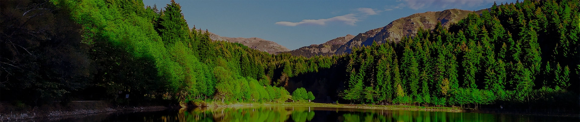 Sustainability Banner